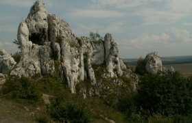 ogrodzieniecyarpenn05.jpg